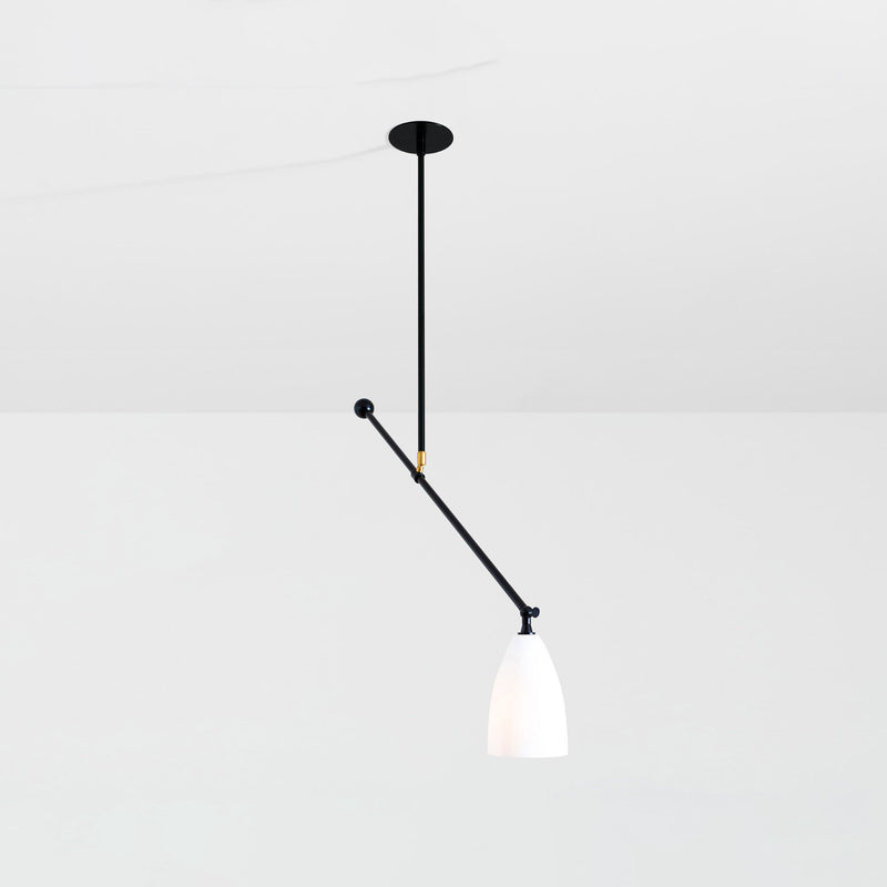 Current Adjustable Pendant Light | DSHOP