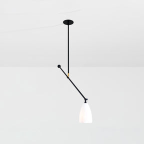 Current Adjustable Pendant Light | DSHOP