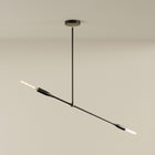 Sorenthia Pendant Light | DSHOP