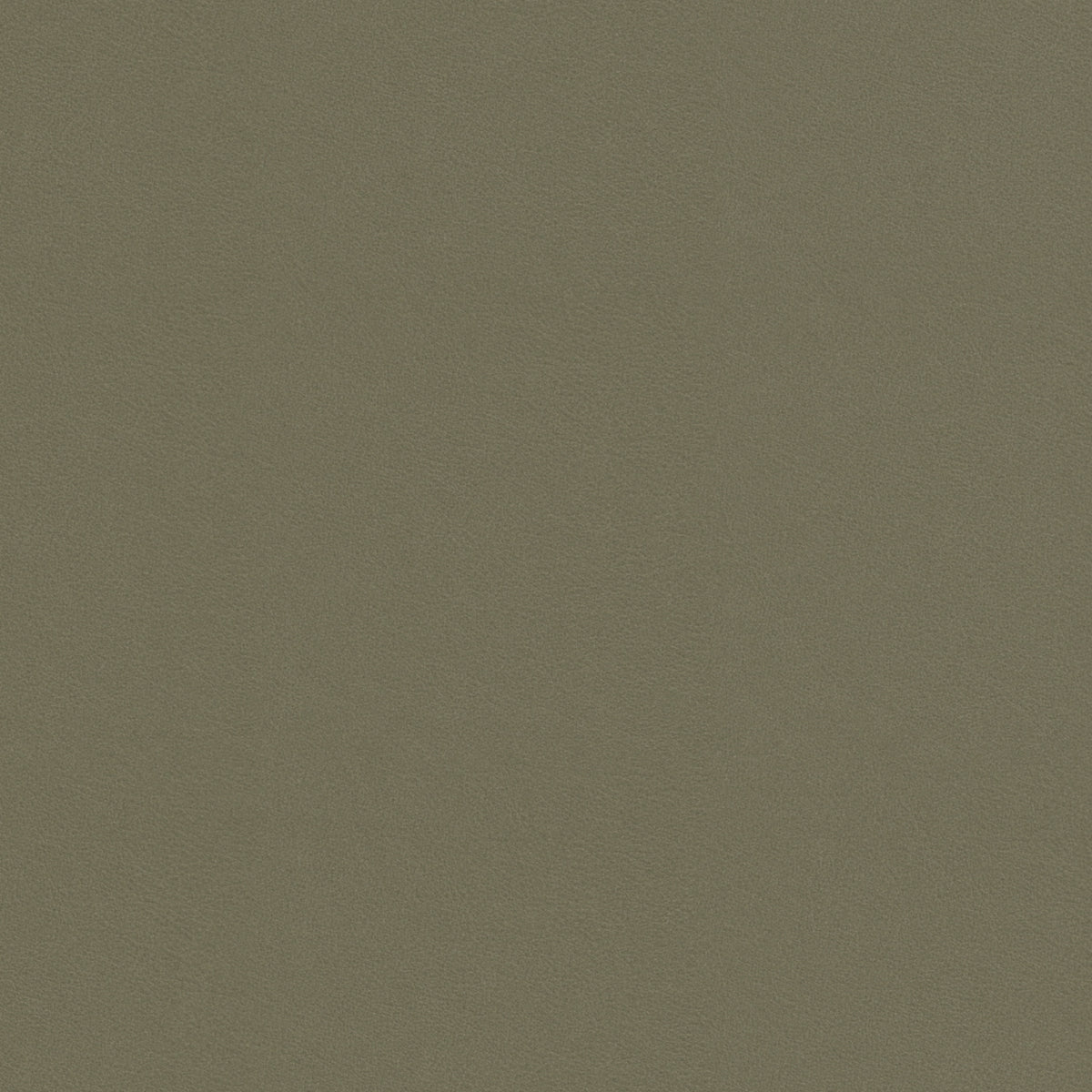 Terra Leather - Jade