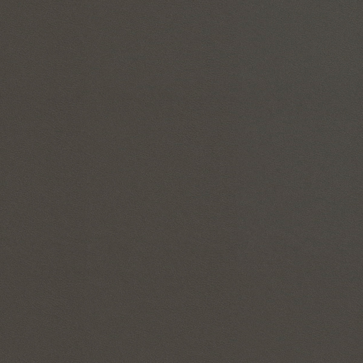 Terra Leather - Raku