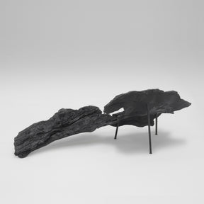 Bioma Chair