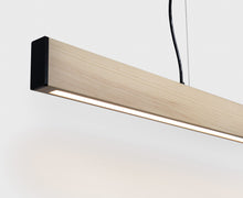 AlexAllen Pendant Lighting | DSHOP