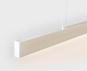 LED Pendant Lights | DSHOP