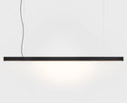 Minimalist Pendant Lighting | DSHOP