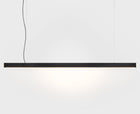 Minimalist Pendant Lighting | DSHOP