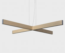 AlexAllen 2x4 Plus Pendant - Large | DSHOP