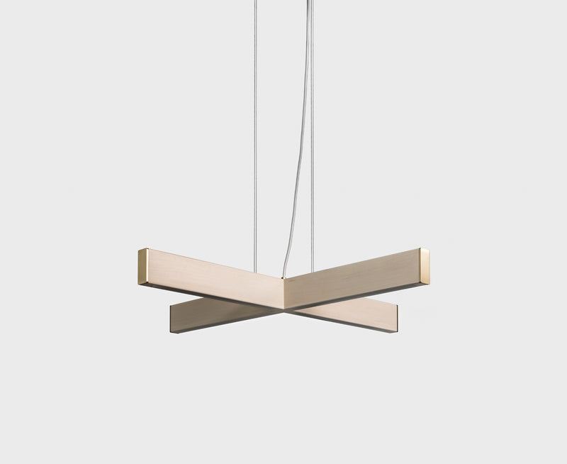 AlexAllen 2x4 Plus Pendant - Small | DSHOP