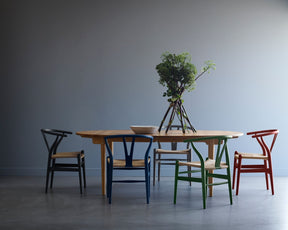 Multi Colored Dining Chairs | DSHOP