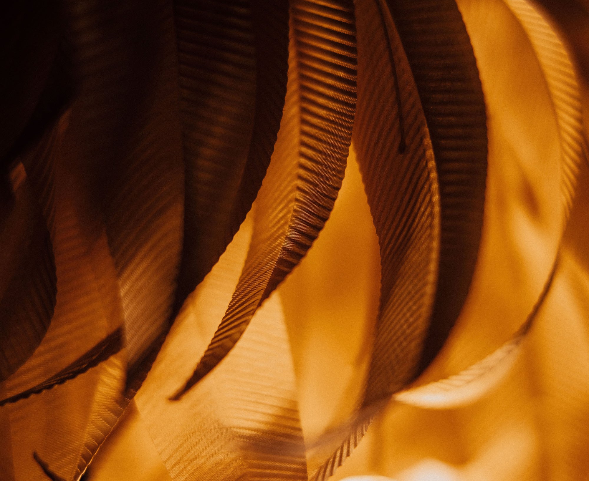 Larose Guyon Lighting Art | DSHOP