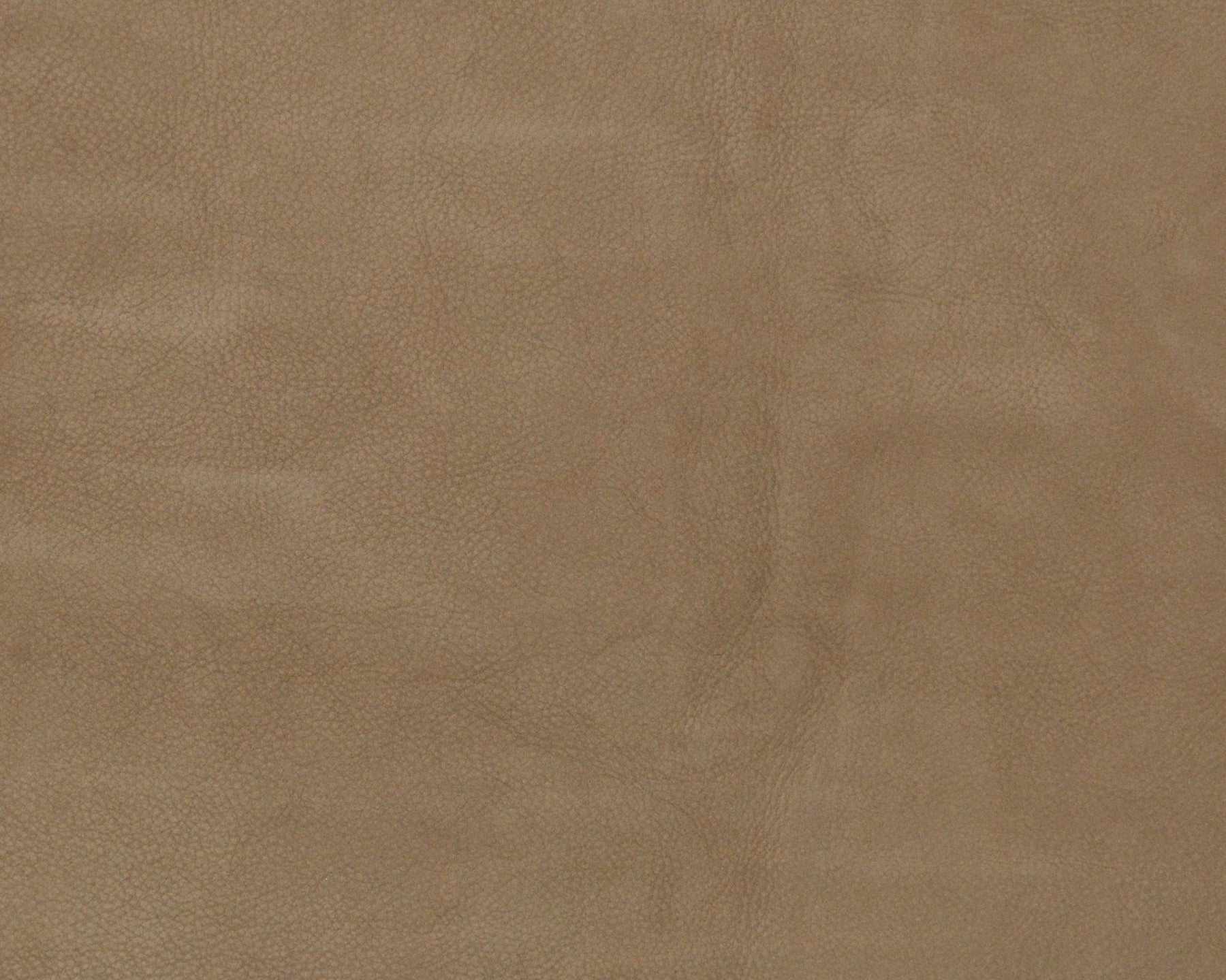 Chamois Leather - 1715 Elefant | DSHOP