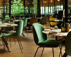 Restaurant Dining Chairs | DSHOP