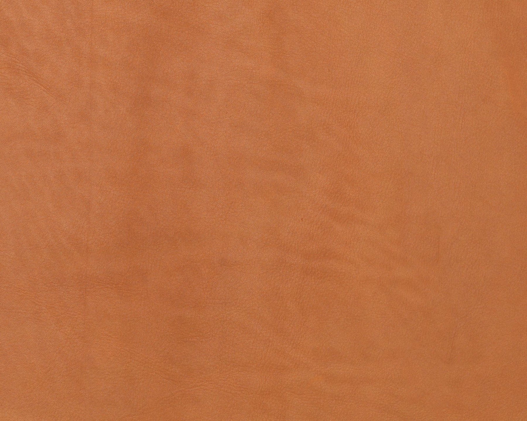 Brescia Leather - 2594 | DSHOP