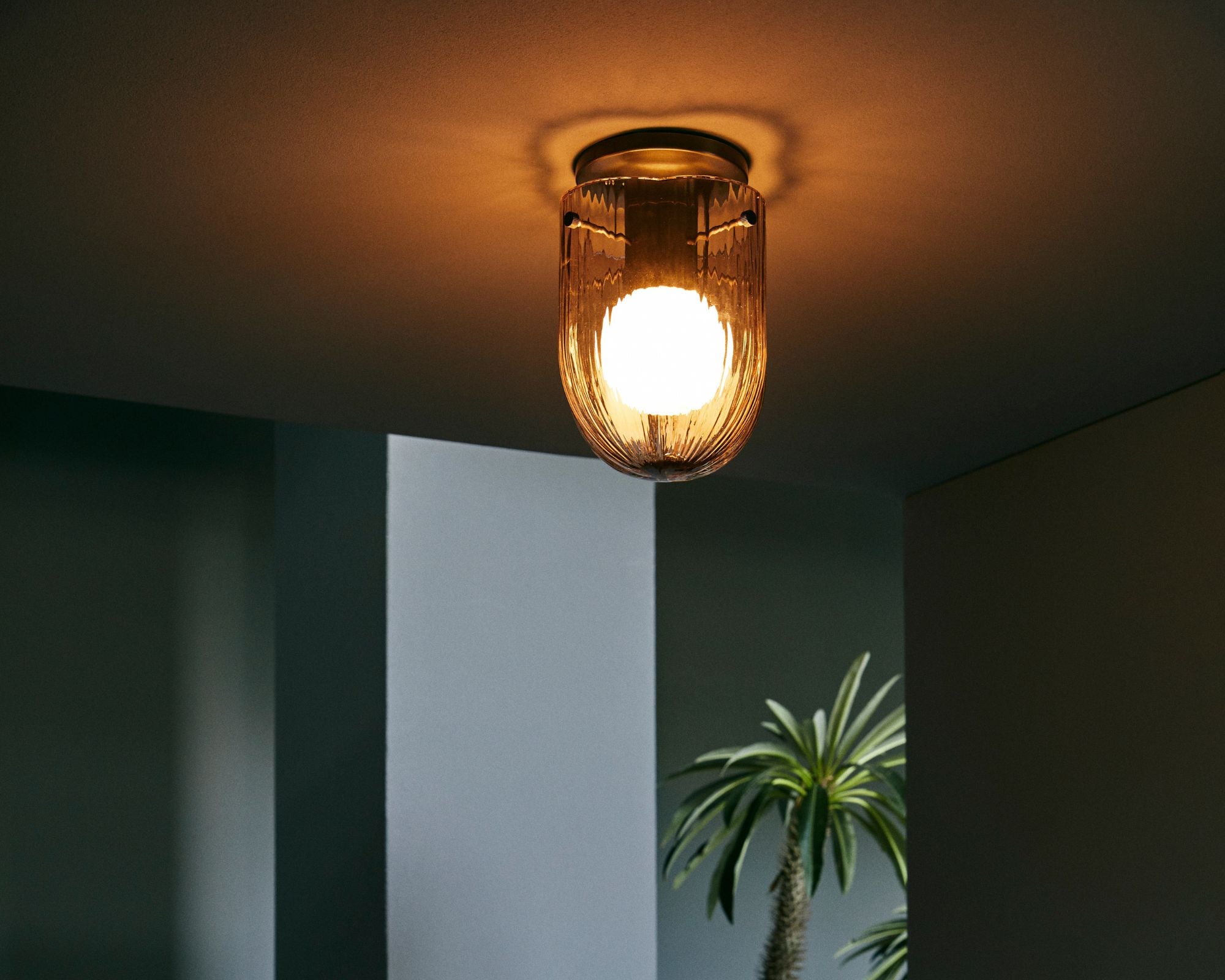 Antique Brass Smoke Glass Ceiling Light | DSHOP