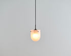 Coral Glass Pendant Light | DSHOP