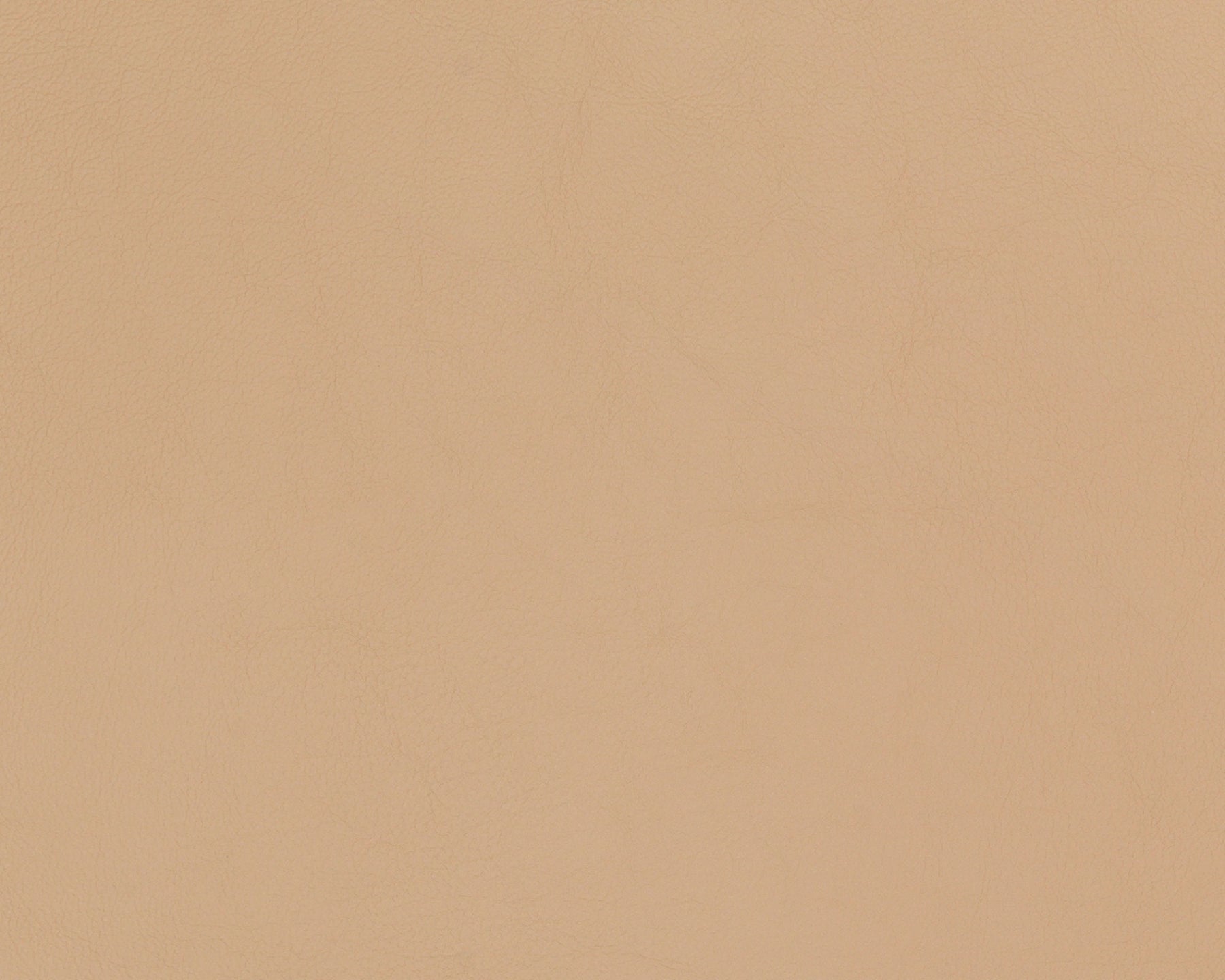 Triumph Crib5 Leather - 43455 Nougat | DSHOP