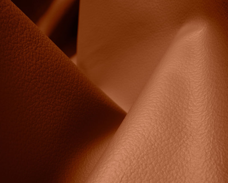 Cognac Protected Leather | DSHOP