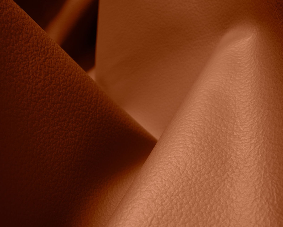 Cognac Protected Leather | DSHOP