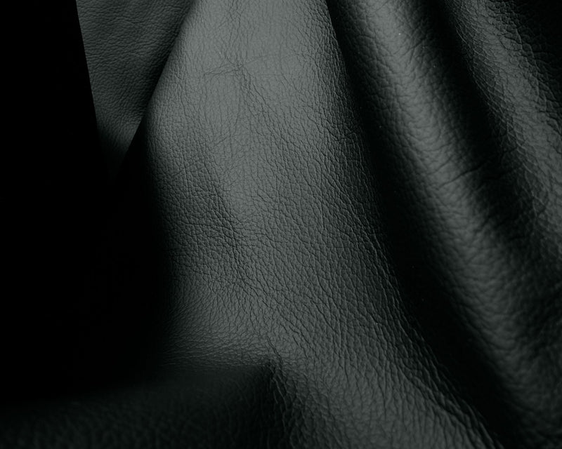 Black Protected Leather | DSHOP