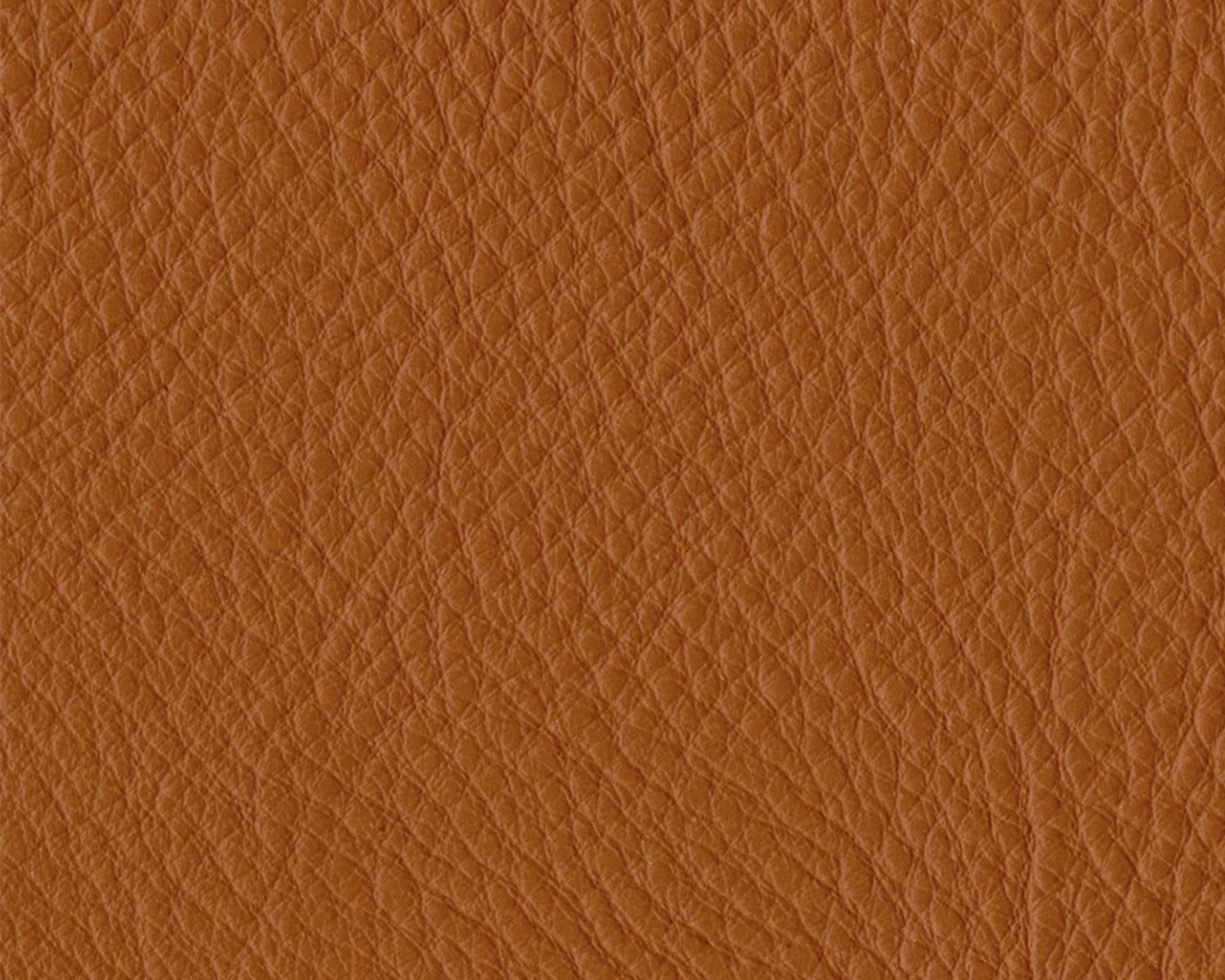 Thor Leather - 307