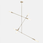 Dunn Contemporary Chandelier | DSHOP