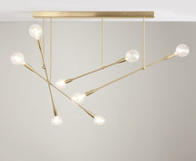 Sorenthia Quad Chandelier | DSHOP